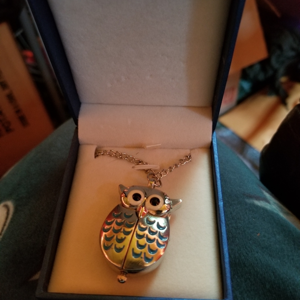 Owl locket watch necklace